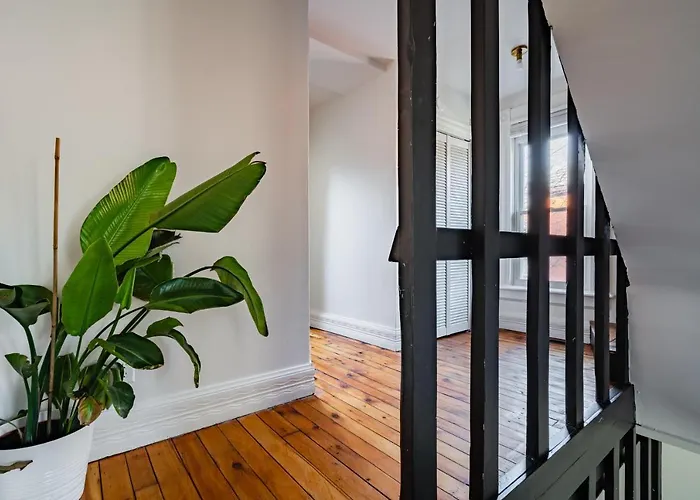 Jungle House Luxury Homes - Downtown Short North - Steps To Convention Center & Nationwide Arena - Sleeps Up To 11 - Free Parking - Over 5,800 Five Stars Columbus